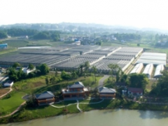 泸州市供销社调研纳溪区供销社综合改革工作