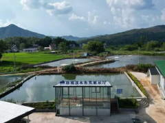 聚焦“百千万工程”｜育苗鱼坊带动乡村高端水产发展，“连平鱼苗”欲闯世界！