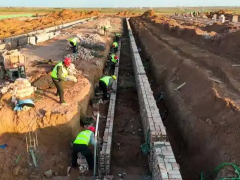 鄂尔多斯市百万蛋鸡养殖及食品加工一体化发展项目有序推进